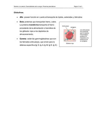 Sistema circulatorio. Generalidades de la sangre. Proteínas plasmáticas Página 5 de 5
---------------------------------------------------------------------------------------------------------------------------------------------------------------
Globulinas:
 Alfa: poseen función en cuanto al transporte de lípidos, esteroides y bilirrubina
 Beta: proteínas que transportan hierro, cobre.
La proteína transferina transporta el hierro
procedente de la alimentación o hemólisis de
los glóbulos rojos a los depósitos de
almacenamiento.
 Gamma: están las gammaglobulinas que son
los llamados anticuerpos, que sirven para la
defensa específica (Ig G, Ig A, Ig M, Ig D, Ig E)
 