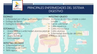 PRINCIPALES ENFERMEDADES DEL SISTEMA
DIGESTIVO
ESOFAGO
• Enfermedad por reflujo gastroesofágico (ERGE)
• Esófago de Barret
• Esofagitis Eosinofilica (Eeo)
ESTOMAGO
• Ulcera péptica o enfermedad ulcerosa péptica
 Ulcera gástrica
 Ulcera duodenal
• Gastroparesia
INTESTINO DELGADO
• Enfermedad celiaca
• Enfermedad de Crohn
• Ileítis aguda
INTESTINO GRUESO
• Síndrome de intestino irritable o colon
irritable
• Cáncer colorrectal
• Colitis isquémica
• Colitis microscópica
• Colitis ulcerosa
• Enfermedad diverticular del colon
• Pólipos de colon
 