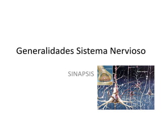Generalidades Sistema Nervioso 
SINAPSIS 
 