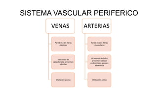 SISTEMA VASCULAR PERIFERICO
VENAS
Pared rica en fibras
elásticas
Son vasos de
capacitancia, presentan
válvulas
Dilatación pasiva
ARTERIAS
Pared rica en fibras
musculares
Al interior de la luz
presentan celulas
endoteliales, poseen
adventicia
Dilatación activa
 