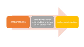 OSTEOPETROSIS
Enfermedad donde
está inhibida la acción
de los osteoclastos
no hay canal medular
 