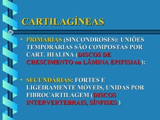 CARTILAGÍNEASCARTILAGÍNEAS
• PRIMÁRIASPRIMÁRIAS (SINCONDROSES): UNIÕES(SINCONDROSES): UNIÕES
TEMPORÁRIAS SÃO COMPOSTAS PORTEMPORÁRIAS SÃO COMPOSTAS POR
CART. HIALINA (CART. HIALINA (DISCOS DEDISCOS DE
CRESCIMENTO ou LÂMINA EPIFISIALCRESCIMENTO ou LÂMINA EPIFISIAL););
• SECUNDÁRIASSECUNDÁRIAS: FORTES E: FORTES E
LIGEIRAMENTE MÓVEIS, UNIDAS PORLIGEIRAMENTE MÓVEIS, UNIDAS POR
FIBROCARTILAGEM (FIBROCARTILAGEM (DISCOSDISCOS
INTERVERTEBRAIS, SÍNFISESINTERVERTEBRAIS, SÍNFISES ))
 