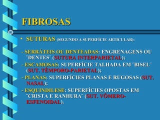 FIBROSASFIBROSAS
• SUTURASSUTURAS (SEGUNDO A SUPERFÍCIE ARTICULAR):(SEGUNDO A SUPERFÍCIE ARTICULAR):
-- SERRÁTEIS OU DENTEADASSERRÁTEIS OU DENTEADAS: ENGRENAGENS OU: ENGRENAGENS OU
¨DENTES¨ (¨DENTES¨ (SUTURA INTERPARIETALSUTURA INTERPARIETAL););
-- ESCAMOSASESCAMOSAS: SUPERFÍCIE TALHADA EM ¨BISEL¨: SUPERFÍCIE TALHADA EM ¨BISEL¨
((SUT. TÊMPORO-PARIETALSUT. TÊMPORO-PARIETAL););
- PLANAS- PLANAS: SUPERFÍCIES PLANAS E RUGOSAS (: SUPERFÍCIES PLANAS E RUGOSAS (SUT.SUT.
NASALNASAL););
- ESQUINDILESE- ESQUINDILESE: SUPERFÍCIES OPOSTAS EM: SUPERFÍCIES OPOSTAS EM
¨CRISTA E RANHURA¨ (¨CRISTA E RANHURA¨ (SUT. VÔMERO-SUT. VÔMERO-
ESFENOIDALESFENOIDAL).).
 