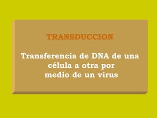 TRANSDUCCION
Transferencia de DNA de una
célula a otra por
medio de un virus
 