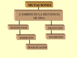MUTACIONES
TRASLOCACION
SUSTITUCION
.CAMBIOS EN LA SECUENCIA
DE DNA
INSERCION
DELECCION
INVERCION
 