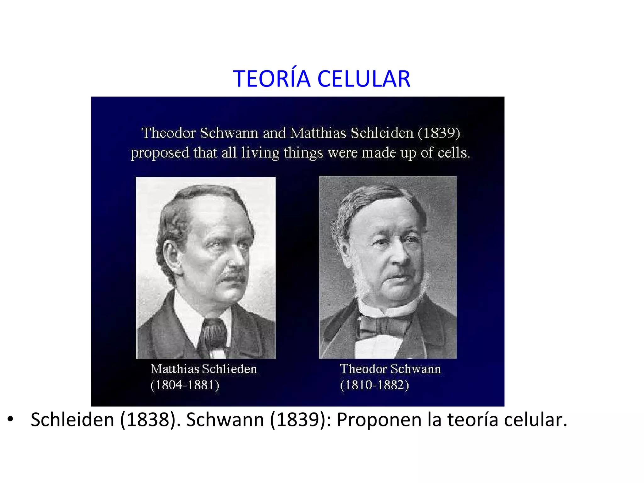 TEORÍA CELULAR Schleiden (1838). Schwann (1839): Proponen la teoría celular. 