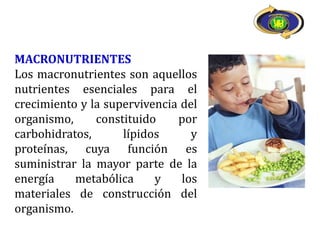 MACRONUTRIENTES
Los macronutrientes son aquellos
nutrientes esenciales para el
crecimiento y la supervivencia del
organismo,     constituido    por
carbohidratos,      lípidos      y
proteínas, cuya función es
suministrar la mayor parte de la
energía    metabólica     y    los
materiales de construcción del
organismo.
 