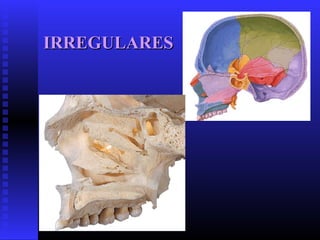 IRREGULARESIRREGULARES
 