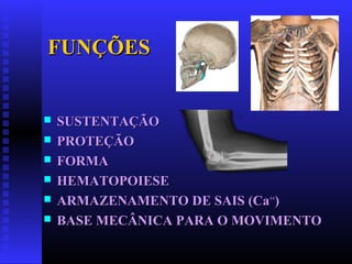 FUNÇÕESFUNÇÕES
 SUSTENTAÇÃOSUSTENTAÇÃO
 PROTEÇÃOPROTEÇÃO
 FORMAFORMA
 HEMATOPOIESEHEMATOPOIESE
 ARMAZENAMENTO DE SAIS (CaARMAZENAMENTO DE SAIS (Ca++++
))
 BASE MECÂNICA PARA O MOVIMENTOBASE MECÂNICA PARA O MOVIMENTO
 