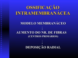 OSSIFICAÇÃOOSSIFICAÇÃO
INTRAMEMBRANÁCEAINTRAMEMBRANÁCEA
MODELO MEMBRANÁCEOMODELO MEMBRANÁCEO
AUMENTO DO NR. DE FIBRASAUMENTO DO NR. DE FIBRAS
(CENTROS PRIMÁRIOS)(CENTROS PRIMÁRIOS)
DEPOSIÇÃO RADIALDEPOSIÇÃO RADIAL
 