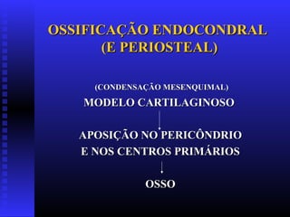OSSIFICAÇÃO ENDOCONDRALOSSIFICAÇÃO ENDOCONDRAL
(E PERIOSTEAL)(E PERIOSTEAL)
(CONDENSAÇÃO MESENQUIMAL)(CONDENSAÇÃO MESENQUIMAL)
MODELO CARTILAGINOSOMODELO CARTILAGINOSO
APOSIÇÃO NO PERICÔNDRIOAPOSIÇÃO NO PERICÔNDRIO
E NOS CENTROS PRIMÁRIOSE NOS CENTROS PRIMÁRIOS
OSSOOSSO
 