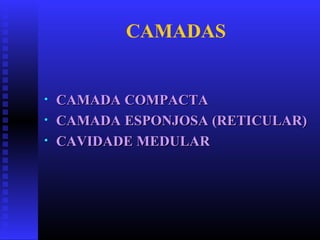 CAMADAS
• CAMADA COMPACTACAMADA COMPACTA
• CAMADA ESPONJOSA (RETICULAR)CAMADA ESPONJOSA (RETICULAR)
• CAVIDADE MEDULARCAVIDADE MEDULAR
 