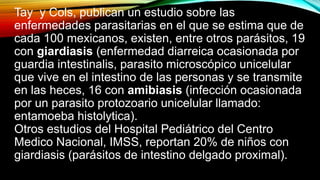 Tay y Cols, publican un estudio sobre las
enfermedades parasitarias en el que se estima que de
cada 100 mexicanos, existen, entre otros parásitos, 19
con giardiasis (enfermedad diarreica ocasionada por
guardia intestinalis, parasito microscópico unicelular
que vive en el intestino de las personas y se transmite
en las heces, 16 con amibiasis (infección ocasionada
por un parasito protozoario unicelular llamado:
entamoeba histolytica).
Otros estudios del Hospital Pediátrico del Centro
Medico Nacional, IMSS, reportan 20% de niños con
giardiasis (parásitos de intestino delgado proximal).
 