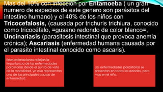 Mas del 10% con infección por Entamoeba ( un gran
numero de especies de este genero son parásitos del
intestino humano) y el 40% de los niños con
Tricocefalosis, (causada por trichuris trichiura, conocido
como tricocéfalo, =gusano redondo de color blanco=,
Uncinariasis (parasitosis intestinal que provoca anemia
crónica); Ascariasis (enfermedad humana causada por
el parasito intestinal conocido como ascaris).
Estas estimaciones reflejan la
importancia de las enfermedades
parasitarias desde el punto de vista
de la morbilidad, ya que representan
una de las principales causas de
enfermedad.
Las enfermedades parasitarias se
presentan en todas las edades, pero
mas en el niño.
 