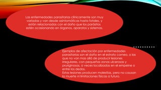……….
Las enfermedades parasitarias clínicamente son muy
variadas y van desde asintomáticas hasta fatales, y
están relacionadas con el daño que los parásitos
estén ocasionando en órganos, aparatos y sistemas.
Ejemplos de afectación por enfermedades
parasitarias son el daño en el estrato corneo, o las
que no van mas allá de producir lesiones
irregulares, con pequeñas zonas ulcerosas y
pruriginosas, a veces localizadas en el empeine o
entre los dedos.
Estas lesiones producen molestias, pero no causan
la muerte ni limitaciones físicas a futuro.
 