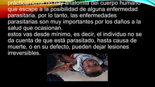 prácticamente no hay anatomía del cuerpo humano
que escape a la posibilidad de alguna enfermedad
parasitaria. por lo tanto, las enfermedades
parasitarias son muy importantes por los daños a la
salud que ocasionan.
estos vas desde mínimo, es decir, el individuo no se
da cuenta de que está parasitado, hasta causa de
muerte, o en su defecto, pueden dejar lesiones
irreversibles.
 