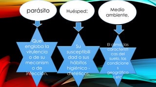 parásito Huésped: Medio
ambiente.
Que
engloba la
virulencia
o de su
mecanism
o de
infección.
Su
susceptibili
dad o sus
hábitos
higiénico -
dietéticos.
El clima, las
característi
cas del
suelo, las
condicione
s
geográfica
s etc.
 