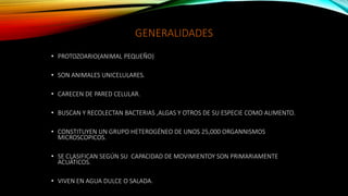 GENERALIDADES
• PROTOZOARIO(ANIMAL PEQUEÑO)
• SON ANIMALES UNICELULARES.
• CARECEN DE PARED CELULAR.
• BUSCAN Y RECOLECTAN BACTERIAS ,ALGAS Y OTROS DE SU ESPECIE COMO ALIMENTO.
• CONSTITUYEN UN GRUPO HETEROGÉNEO DE UNOS 25,000 ORGANNISMOS
MICROSCOPICOS.
• SE CLASIFICAN SEGÚN SU CAPACIDAD DE MOVIMIENTOY SON PRIMARIAMENTE
ACUÁTICOS.
• VIVEN EN AGUA DULCE O SALADA.
 