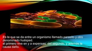 ***PARASITISMO***
Es la que se da entre un organismo llamado parasito y otro
denominado huésped.
el primero vive en y a expensas del segundo, y además le
causa daño.
 