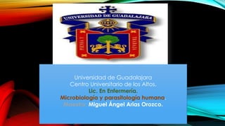 Universidad de Guadalajara
Centro Universitario de los Altos.
Lic. En Enfermería.
Microbiología y parasitología humana.
Maestro: Miguel Ángel Arias Orozco.
 