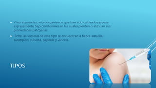 TIPOS
 Vivas atenuadas: microorganismos que han sido cultivados espesa
expresamente bajo condiciones en las cuales pierden o atenúan sus
propiedades patógenas.
 Entre las vacunas de este tipo se encuentran la fiebre amarilla,
sarampión, rubeola, paperas y varicela.
 