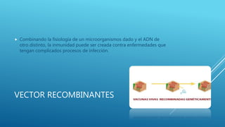 VECTOR RECOMBINANTES
 Combinando la fisiología de un microorganismos dado y el ADN de
otro distinto, la inmunidad puede ser creada contra enfermedades que
tengan complicados procesos de infección.
 