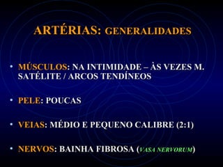 ARTÉRIAS:ARTÉRIAS: GENERALIDADESGENERALIDADES
• MÚSCULOSMÚSCULOS: NA INTIMIDADE – ÀS VEZES M.: NA INTIMIDADE – ÀS VEZES M.
SATÉLITE / ARCOS TENDÍNEOSSATÉLITE / ARCOS TENDÍNEOS
• PELEPELE: POUCAS: POUCAS
• VEIASVEIAS: MÉDIO E PEQUENO CALIBRE (2:1): MÉDIO E PEQUENO CALIBRE (2:1)
• NERVOSNERVOS: BAINHA FIBROSA (: BAINHA FIBROSA (VASA NERVORUMVASA NERVORUM))
 
