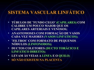 SISTEMA VASCULAR LINFÁTICOSISTEMA VASCULAR LINFÁTICO
• TÚBULOS DE ¨FUNDO CEGO¨TÚBULOS DE ¨FUNDO CEGO¨ (CAPILARES)(CAPILARES) COMCOM
CALIBRE UM POUCO MAIOR QUE OSCALIBRE UM POUCO MAIOR QUE OS
CAPILARES ARTERIAIS E VENOSOS;CAPILARES ARTERIAIS E VENOSOS;
• ANASTOMOSES COM FORMAÇÃO DE VASOSANASTOMOSES COM FORMAÇÃO DE VASOS
CADA VEZ MAIORESCADA VEZ MAIORES (VASOS LINFÁTICOS);(VASOS LINFÁTICOS);
• ¨FILTROS¨ COM FORMATO DE PEQUENOS¨FILTROS¨ COM FORMATO DE PEQUENOS
NÓDULOSNÓDULOS (LINFONODOS);(LINFONODOS);
• DUCTOS COLETORESDUCTOS COLETORES (DUCTO TORÁCICO E(DUCTO TORÁCICO E
LINFÁTICO DIREITO);LINFÁTICO DIREITO);
• LEVAM ÀS VEIAS ALEVAM ÀS VEIAS A LINFALINFA E OE O QUILO;QUILO;
• SÓ NÃO EXISTEM NA PLACENTASÓ NÃO EXISTEM NA PLACENTA
 