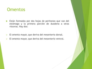 Omentos 
 Están formados por dos hojas de peritoneo que van del 
estómago y la primera porción de duodeno a otras 
vísceras. Hay dos: 
 El omento mayor, que deriva del mesenterio dorsal. 
 El omento mayor, que deriva del mesenterio ventral. 
 