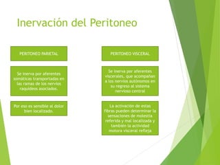 Inervación del Peritoneo 
PERITONEO PARIETAL 
Se inerva por aferentes 
viscerales, que acompañan 
a los nervios autónomos en 
su regreso al sistema 
nervioso central 
Se inerva por aferentes 
somáticas transportadas en 
las ramas de los nervios 
raquídeos asociados. 
PERITONEO VISCERAL 
La activación de estas 
fibras pueden determinar la 
sensaciones de molestia 
referida y mal localizada y 
también la actividad 
motora visceral refleja 
Por eso es sensible al dolor 
bien localizado. 
 