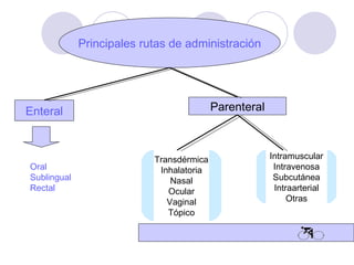 Principales rutas de administración Enteral Parenteral Oral Sublingual Rectal Intramuscular Intravenosa Subcutánea Intraarterial Otras Transdérmica Inhalatoria Nasal Ocular Vaginal Tópico 