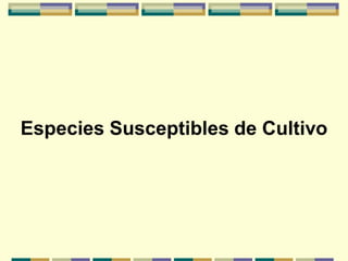 Especies Susceptibles de Cultivo
 