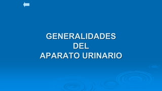 GENERALIDADES
DEL
APARATO URINARIO
 