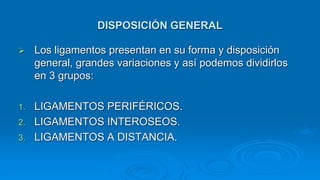  Los ligamentos presentan en su forma y disposición
general, grandes variaciones y así podemos dividirlos
en 3 grupos:
1. LIGAMENTOS PERIFÉRICOS.
2. LIGAMENTOS INTEROSEOS.
3. LIGAMENTOS A DISTANCIA.
DISPOSICIÓN GENERAL
 
