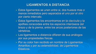  Estos ligamentos se unen entre si, dos huesos mas o
menos inmediatos pero separados el uno por el otro
por cierto intervalo.
 Estos ligamentos los encontramos en la clavícula y la
apófisis coracoides entre los espacios interóseos del
brazo y de la pierna, entre los arcos posteriores de las
vértebras.
 Los ligamentos a distancia difieren de sus análogos
por sus propiedades físicas.
 Por su color han recibido en nombre de Ligamentos
Amarillos y por su extensibilidad, de Ligamentos
Elásticos.
LIGAMENTOS A DISTANCIA
 
