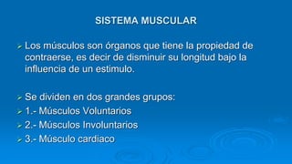  Los músculos son órganos que tiene la propiedad de
contraerse, es decir de disminuir su longitud bajo la
influencia de un estimulo.
 Se dividen en dos grandes grupos:
 1.- Músculos Voluntarios
 2.- Músculos Involuntarios
 3.- Músculo cardiaco
SISTEMA MUSCULAR
 