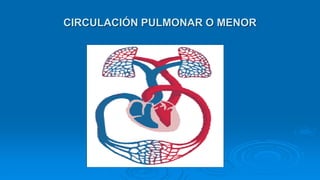 CIRCULACIÓN PULMONAR O MENOR
 