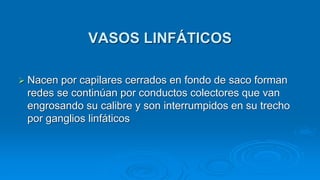  Nacen por capilares cerrados en fondo de saco forman
redes se continúan por conductos colectores que van
engrosando su calibre y son interrumpidos en su trecho
por ganglios linfáticos
VASOS LINFÁTICOS
 