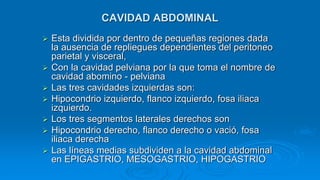  Esta dividida por dentro de pequeñas regiones dada
la ausencia de repliegues dependientes del peritoneo
parietal y visceral,
 Con la cavidad pelviana por la que toma el nombre de
cavidad abomino - pelviana
 Las tres cavidades izquierdas son:
 Hipocondrio izquierdo, flanco izquierdo, fosa iliaca
izquierdo.
 Los tres segmentos laterales derechos son
 Hipocondrio derecho, flanco derecho o vació, fosa
iliaca derecha
 Las líneas medias subdividen a la cavidad abdominal
en EPIGASTRIO, MESOGASTRIO, HIPOGASTRIO
CAVIDAD ABDOMINAL
 