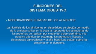  MODIFICACIONES QUÍMICAS DE LOS ALIMENTOS:
La hidrólisis de los almidones en disacáridos se efectúa por medio
de la amilasa salival en la boca la ruptura de las estructuras de
las proteínas se realizan por medio del ácido clorhídrico y la
pepsina gástrica del estómago las proteasas, lipasas y
disacarasas pancreáticas y la bilis hepáticas actúan sobre las
proteínas en el duodeno.
FUNCIONES DEL
SISTEMA DIGESTIVO
 