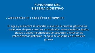  ABSORCIÓN DE LA MOLÉCULAS SIMPLES.
El agua y el alcohol se absorbe a nivel de la mucosa gástrica las
moléculas simples como los aminoácidos, monosacáridos ácidos
grasos y bases nitrogenadas se absorben a nivel de las
vellosidades intestinales, el agua se absorbe en el intestino
grueso.
FUNCIONES DEL
SISTEMA DIGESTIVO
 
