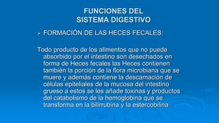 FORMACIÓN DE LAS HECES FECALES:
Todo producto de los alimentos que no puede
absorbido por el intestino son desechados en
forma de Heces fecales las Heces contienen
también la porción de la flora microbiana que se
muere y además contiene la descamación de
células epiteliales de la mucosa del intestino
grueso a estos se les añade toxinas y productos
del catabolismo de la hemoglobina que se
transforma en la bilirrubina y la estercobilina
FUNCIONES DEL
SISTEMA DIGESTIVO
 