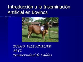 Introducción a la Inseminación Artificial en Bovinos DIEGO VILLAMIZAR MVZ  Universidad de Caldas 
