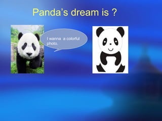 Panda’s dream is ?
I wanna a colorful
photo.
 
