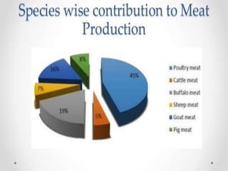 General information about meat animals | PPTX
