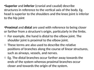 •Superior and inferior (cranial and caudal) describe
structures in reference to the vertical axis of the body. Eg.
head is superior to the shoulders and the knee joint is inferior
to the hip joint
•Proximal and distal are used with reference to being closer
or farther from a structure's origin, particularly in the limbs.
o For example, the hand is distal to the elbow joint. The
shoulder joint is proximal to the elbow joint.
o These terms are also used to describe the relative
positions of branches along the course of linear structures,
such as airways, vessels, and nerves.
o Eg. The distal branches occur farther away towards the
ends of the system whereas proximal branches occur
closer and towards the origin of the system.
 