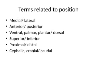 Terms related to position
• Medial/ lateral
• Anterior/ posterior
• Ventral, palmar, plantar/ dorsal
• Superior/ inferior
• Proximal/ distal
• Cephalic, cranial/ caudal
 