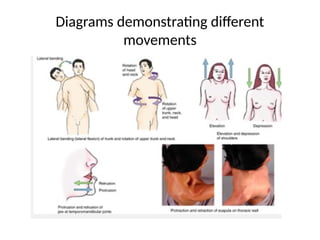 Diagrams demonstrating different
movements
 