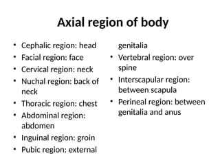 • Cephalic region: head
• Facial region: face
• Cervical region: neck
• Nuchal region: back of
neck
• Thoracic region: chest
• Abdominal region:
abdomen
• Inguinal region: groin
• Pubic region: external
genitalia
• Vertebral region: over
spine
• Interscapular region:
between scapula
• Perineal region: between
genitalia and anus
Axial region of body
 