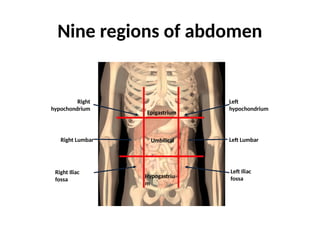 Nine regions of abdomen
Left
hypochondrium
Right
hypochondrium
Right Lumbar Left Lumbar
Left Iliac
fossa
Right Iliac
fossa
Epigastrium
Hypogastriu
m
Umbilical
 